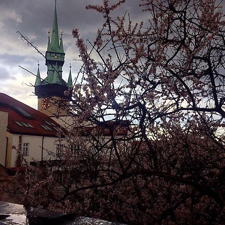 Althansky Palac Znojmo Eksteriør bilde