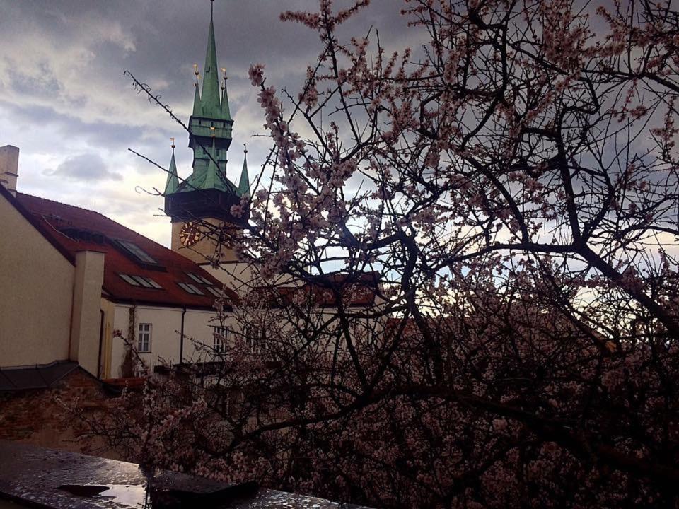 Althansky Palac Znojmo Eksteriør bilde